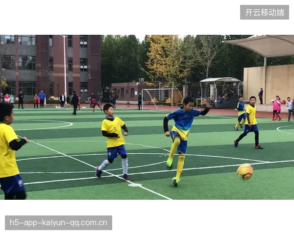 维拉迪涅发挥稳定，成就辉煌足球之路
